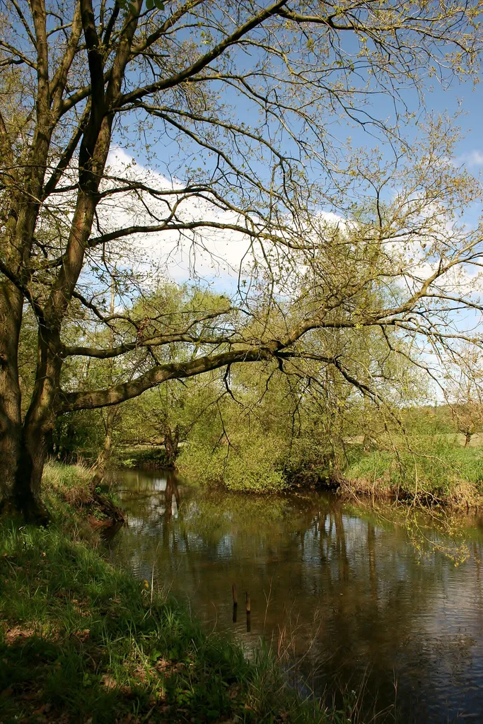 Wümmeniederung unterhalb Rotenburg