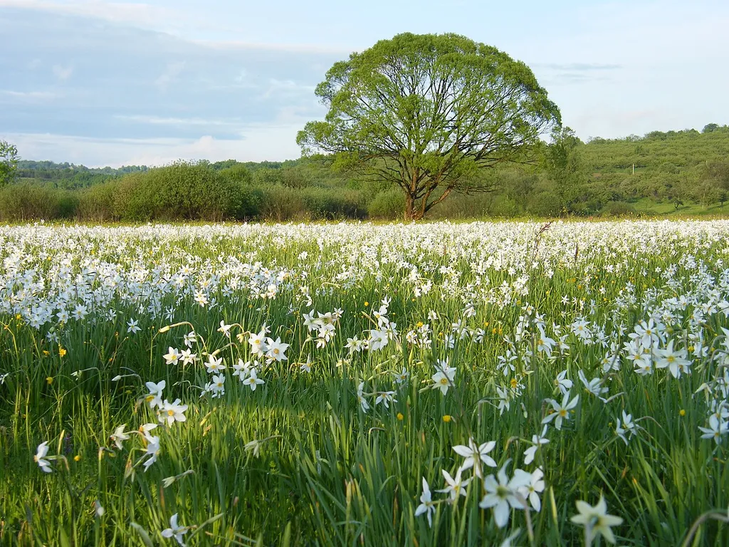 This is a photo of a natural heritage site in Ukraine, id: 21-212-5018
