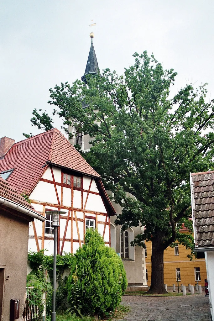Ortrand, the Pfarrgasse, view to the town church