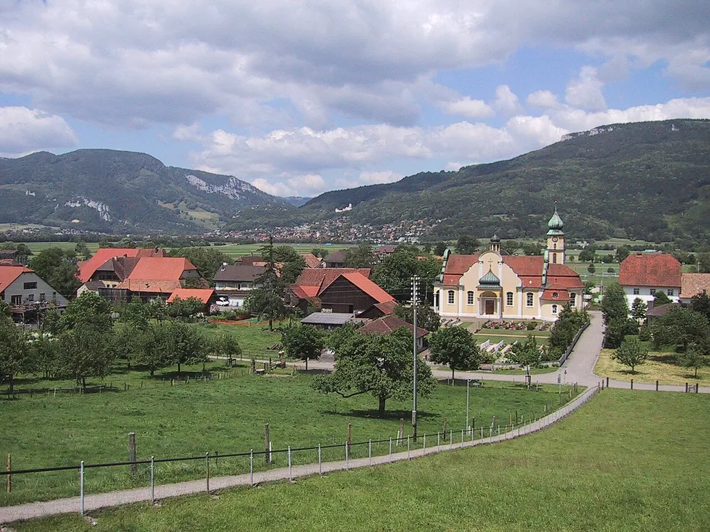 Aufnahme 8. Juni 2005, Kestenholz im Solothurner Bezirk Gäu. Fotograf Peter Berger (selbst fotografiert). Lizenzstatus "GNU-FDL"