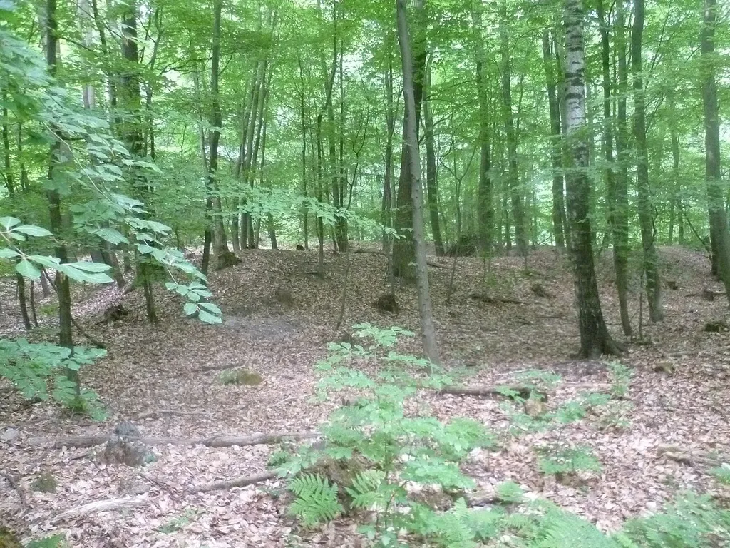 Custine-Schanzen (Oberursel)