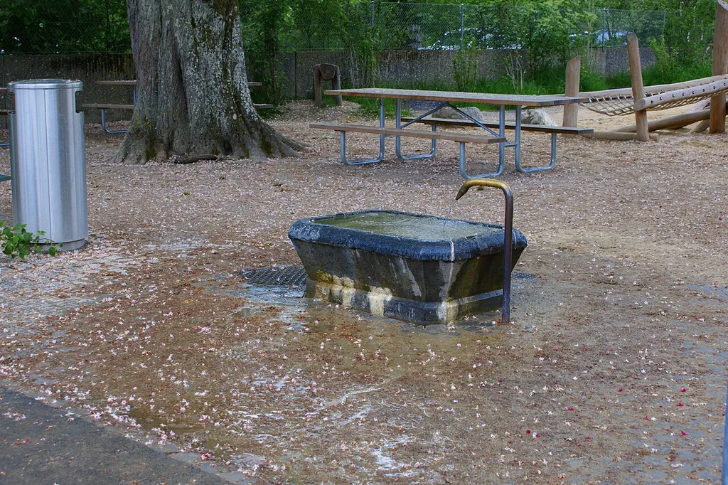 Brunnen Spielplatz Dählhölzli mit Spielplatz im Hintergrund.