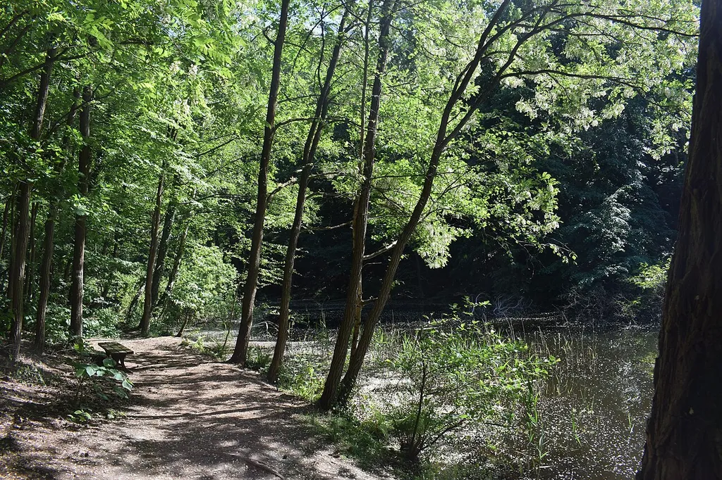 Der Grubenteich im Naturschutzgebiet Glindower Alpen bei Werder (Havel).