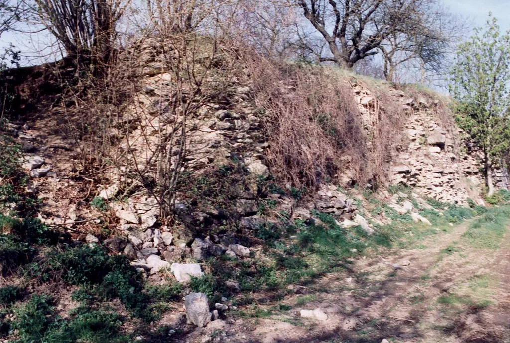 Burgruine Regensberg, Reste der südlichen Stützmauer