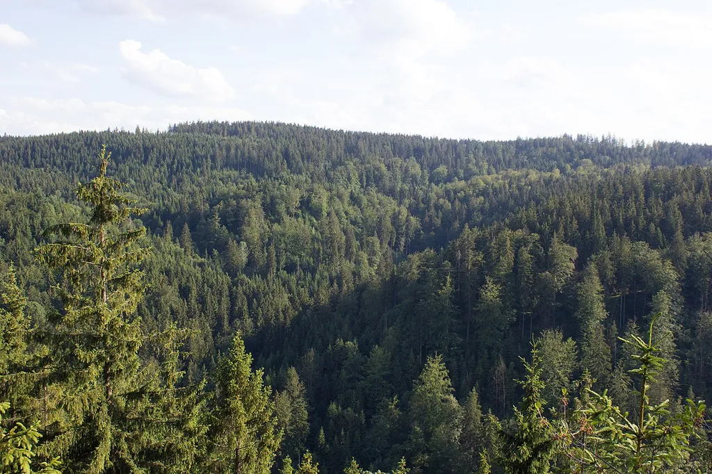 Franconian Forest Nature Park