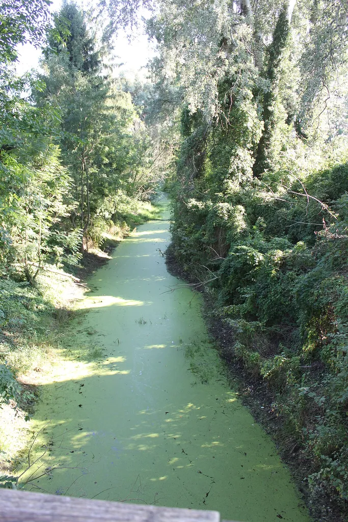 Fadenbach-Brücke Schloss Orth - Schlossinsel, Weiterlauf des Fadenbaches von der Brücke weg