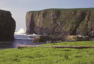Alaska Maritime National Wildlife Refuge