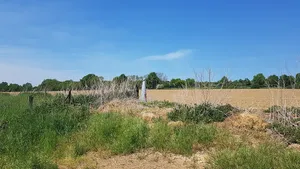 Belgium-Netherlands boundary stone no. 30