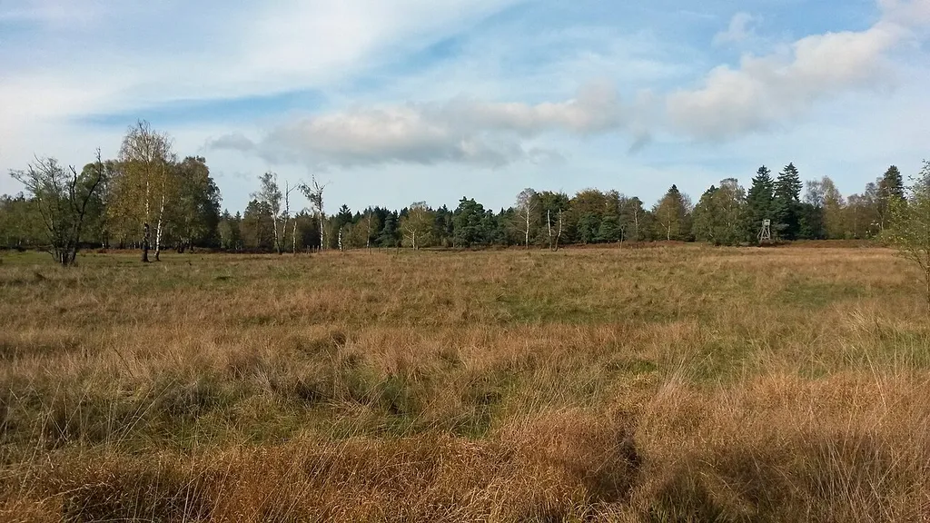 Blick vom Bohlweg im Hühnerfeld nach Nordost.