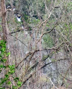 Corbin Creek Falls