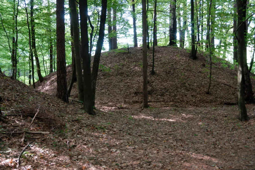 This media shows the Geschützter Landschaftsteil in Styria with the ID GLT_1470.