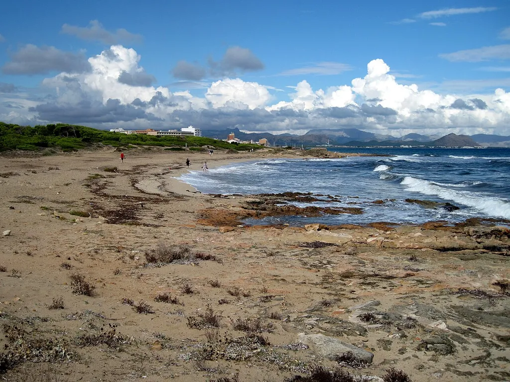 Strand von Na Patana an der Küste der Gemeinde Santa Margalida, Mallorca, Spanien