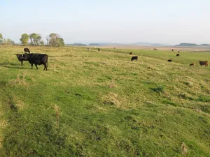 Milecastle 32
