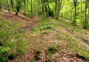 Wittekindsburg