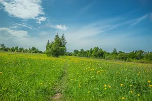 Park in Shapkino, Nizhny Novgorod Oblast