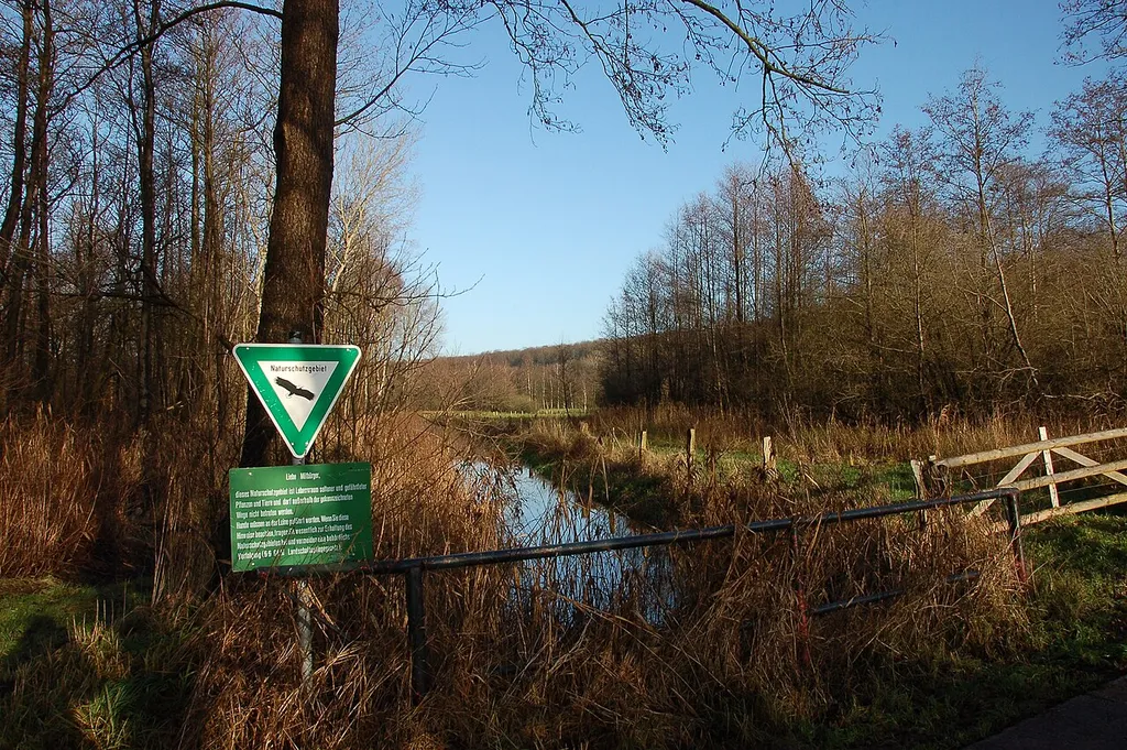 Inflow to lake Fuhlensee and nature reserve Fuhlensee und Umgebung.