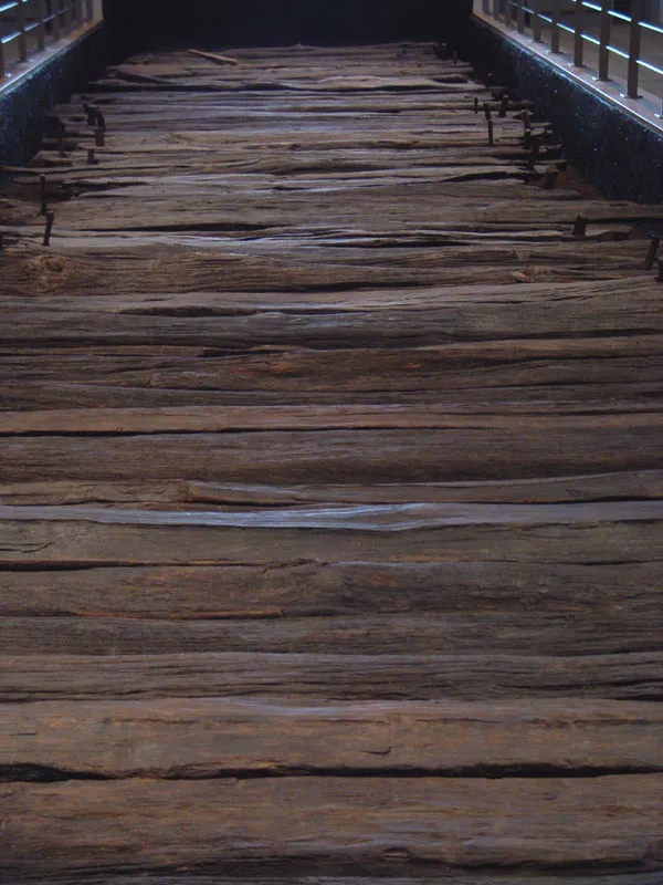 A photo of the Corlea Trackway.