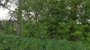 Belgium-Netherlands boundary stone no. 10