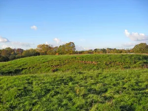 Medieval settlement immediately surrounding St Michael's Church