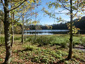 Südschwarzwald