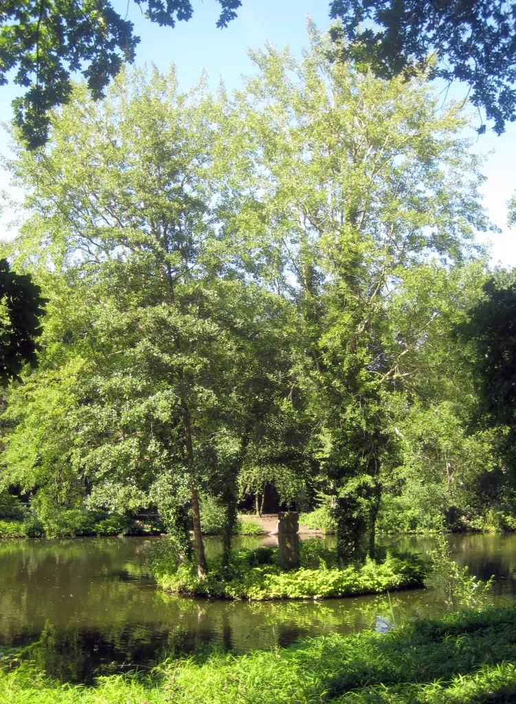 Rousseau Island