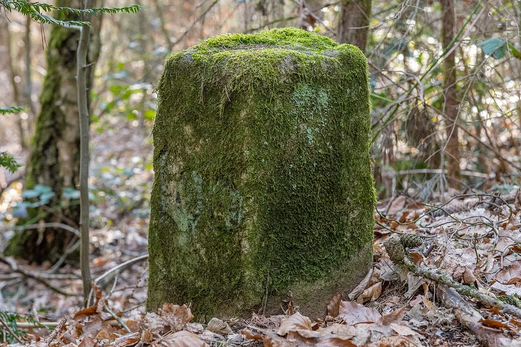 Grenzstein Untere Gemeinde in Fürth
