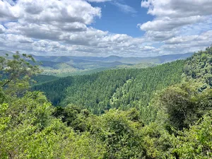Conondale National Park