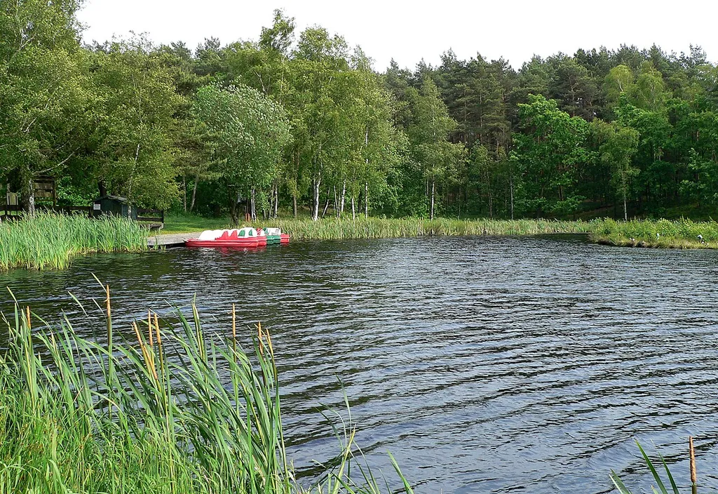 Heidesee