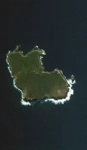South East Island (Rangatira)