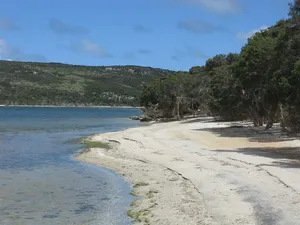 Stokes National Park