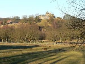 Tierpark Sababurg