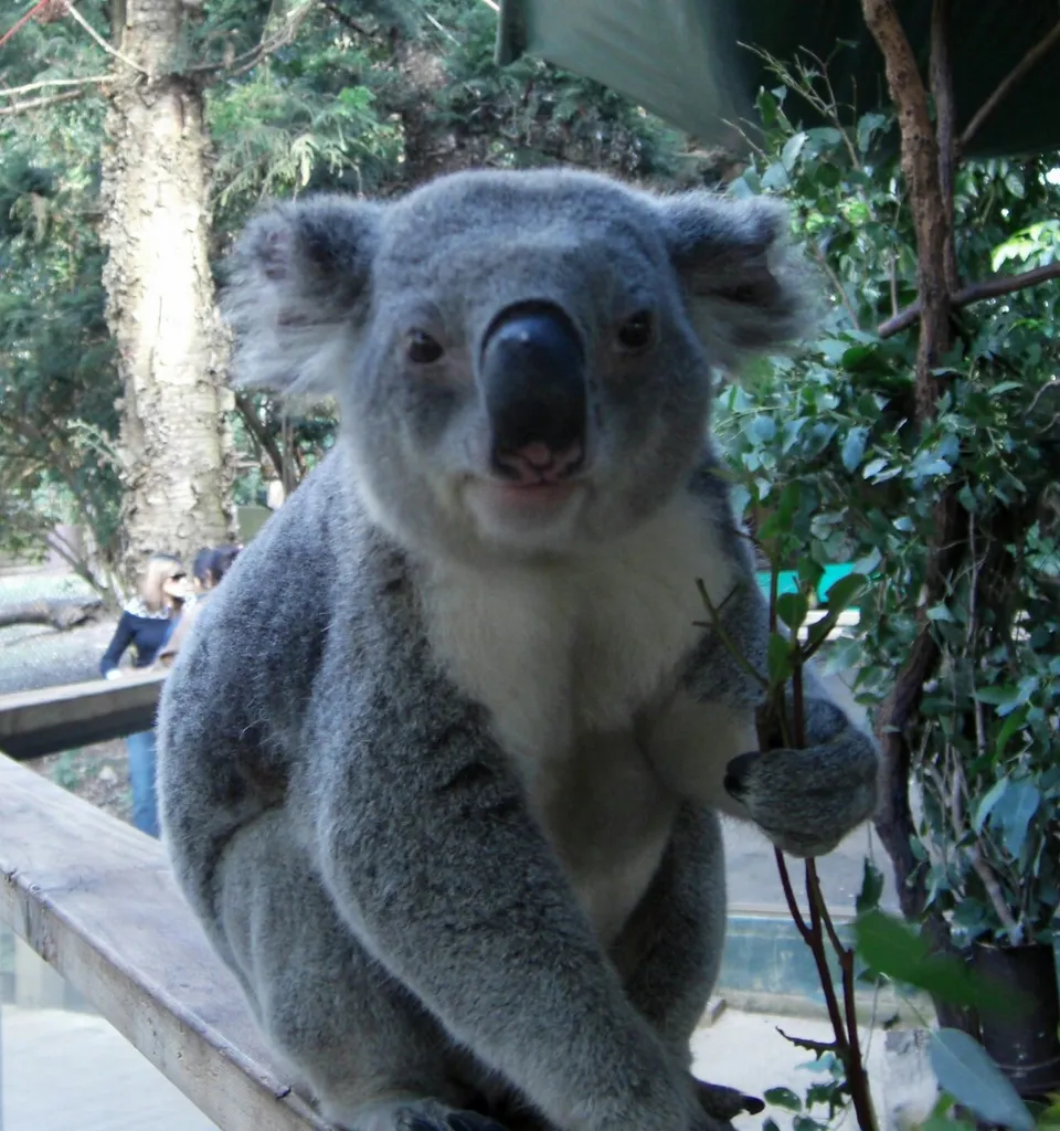 Dunggir National Park