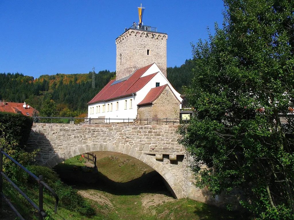 Die Wasserburg Reipoltskirchen war Sitz der Herren von Hohenfels, die eine Nebenlinie der Herren von Bolanden waren. Die Familie starb 1602 aus. 1628 wurde die Reichsherrschaft Reipoltskirchen unter den Grafen von Lewenhaupt-Rasburg und zwei Vettern des letzten Herren von Hohenfels, aufgeteilt. Über eine Erbtochter kam die Hälfte des Besitzes an die Grafen von Manderscheid, die ihren Anteil 1730 an die Grafen von Hillesheim verkauften. Die andere Hälfte kam nach mehrfachem Besitzerwechsel 1777 an die Karoline zu Isenburg und Büdingen, älteste Tochter des Kurfürsten Karl Theodor von der Pfalz.