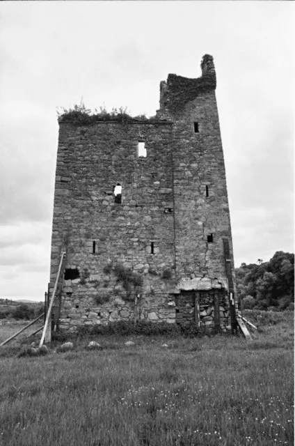 Dysart Castle, Thomastown, Co. Kilkenny. Fifteenth-century four-storey tower house with medieval church adjacent. A house on this site was the childhood home of Bishop George Berkeley (1685-1753) [1].