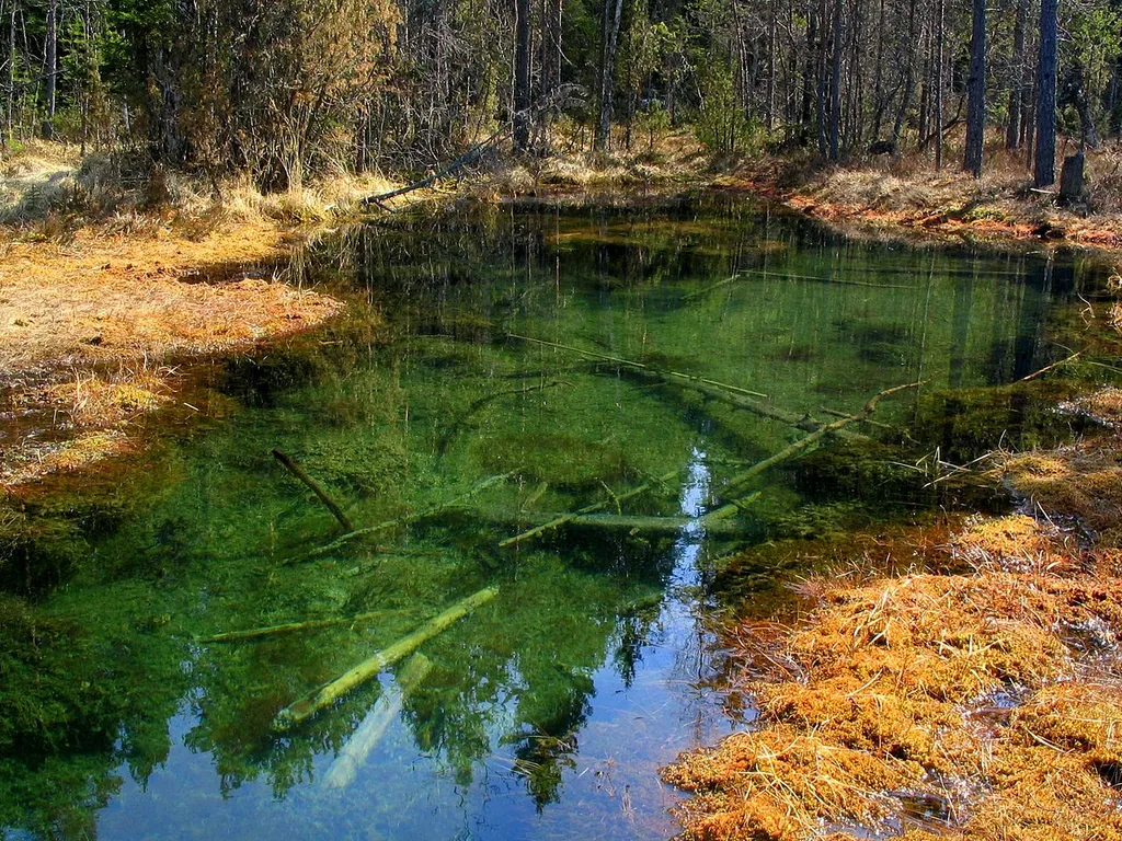 A spring in the Valkmusa national park in Finland.