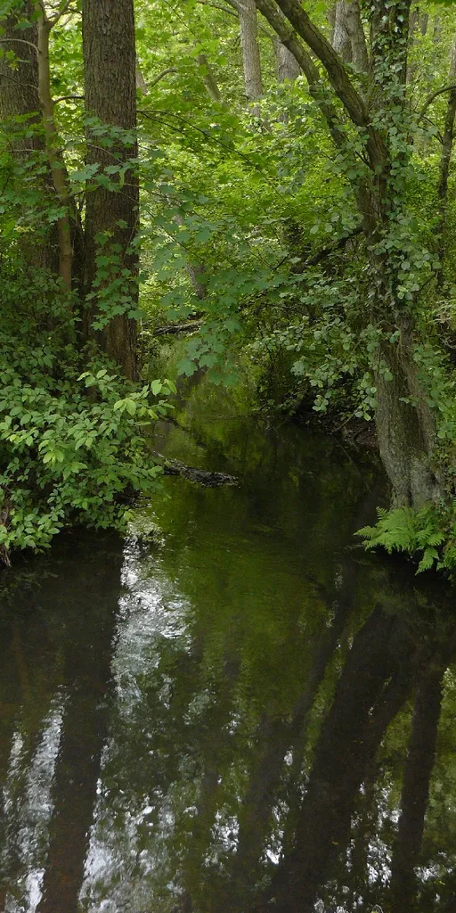 Deinster Mühlenbach