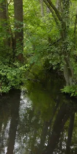 Deinster Mühlenbach