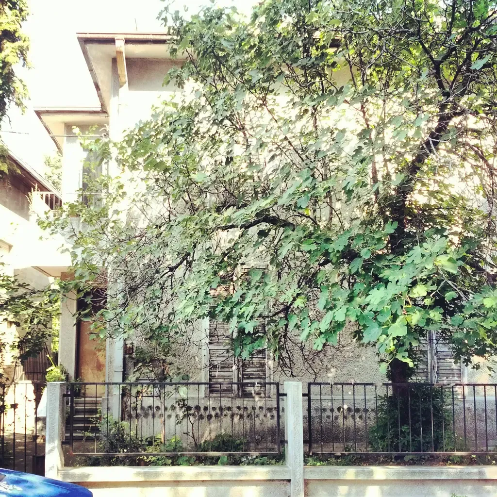 Memorial Museum of Nadežda and Rastko Petrović