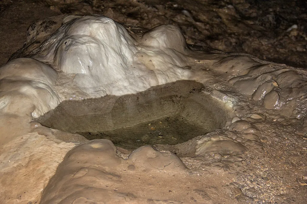 Osterhöhle, Sinterbecken, Neukirchen bei Sulzbach-Rosenberg, Karsthöhle, Schauhöhle, Geotop, Bodendenkmal