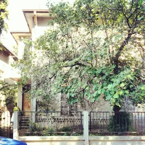 Memorial Museum of Nadežda and Rastko Petrović