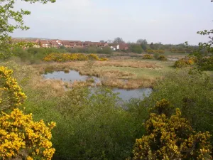 Framwellgate Moor