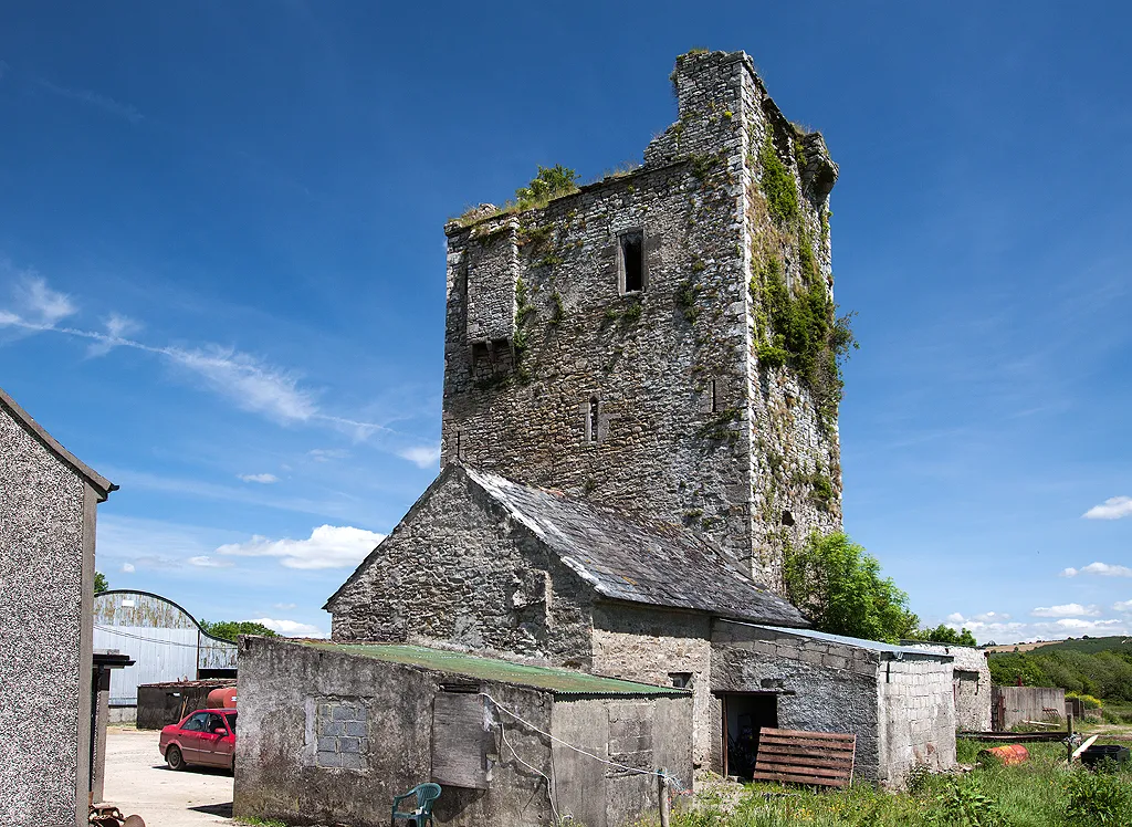 Castles of Leinster: Kilcurl, Kilkenny (2)