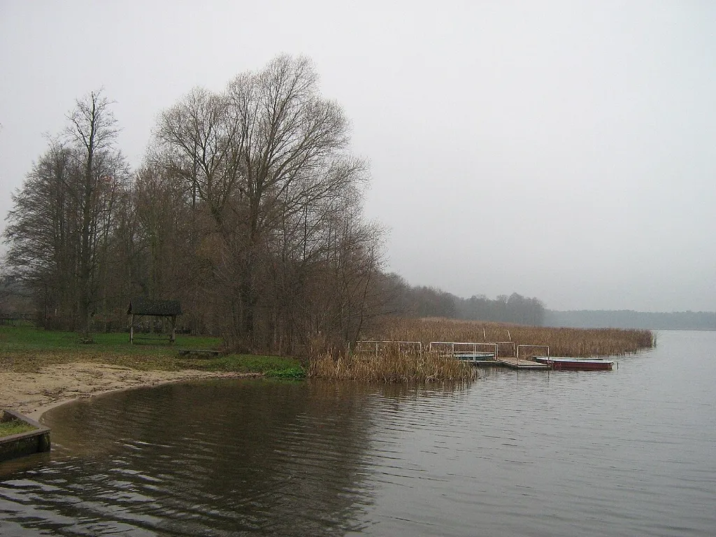 der Köthener See am Rand des Unterspreewaldes im Landkreis Dahme-Spreewald, (Brandenburg, Germany).