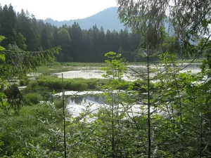 LSG Taubensee, Gemeinde Ramsau bei Berchtesgaden