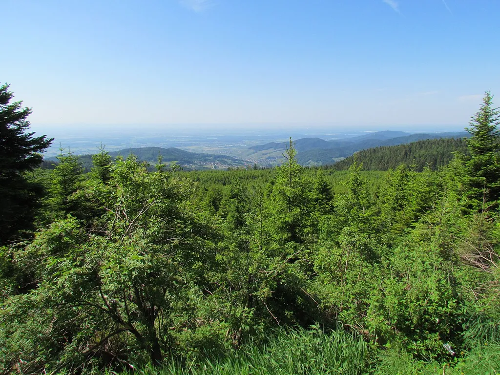Nordschwarzwald