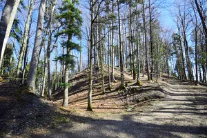 Gündisau / Schlossberg, medieval castle site Wildberg