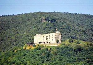 Hambach Castle