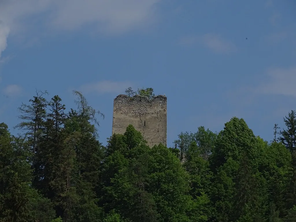 Blick von Süden auf den Bergfried der Burgruine Waldstein