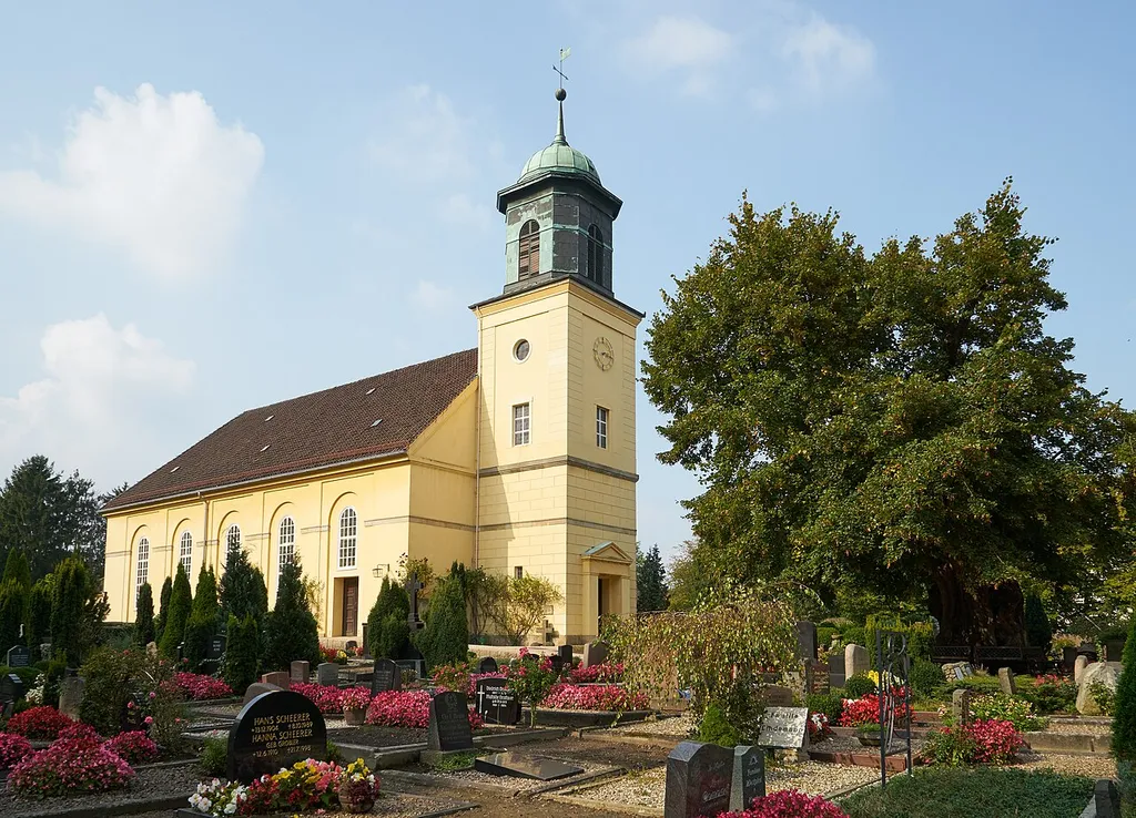 Horner Kirche in Bremen, Horner Heerstraße 30. Die etwa 900 Jahre alte Linde auf dem Kirchhof.