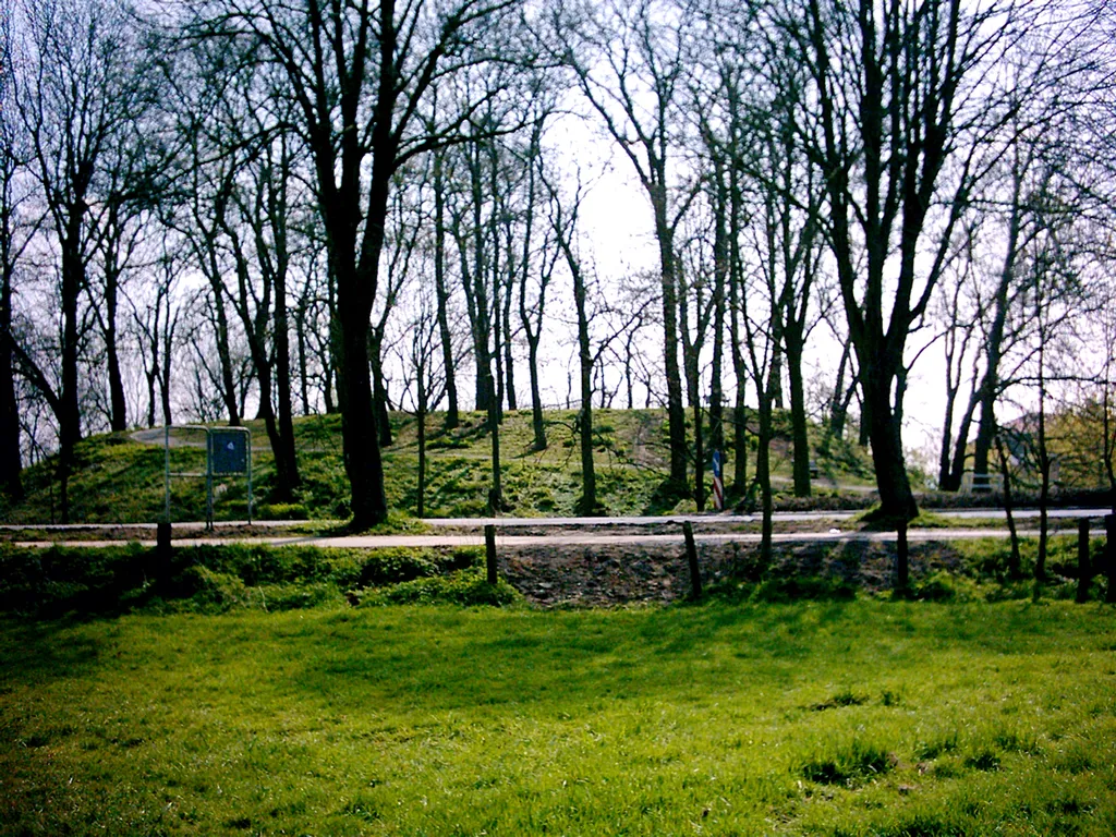 Mottenhügel an der Burgstraße in der Gemeinde Alpen